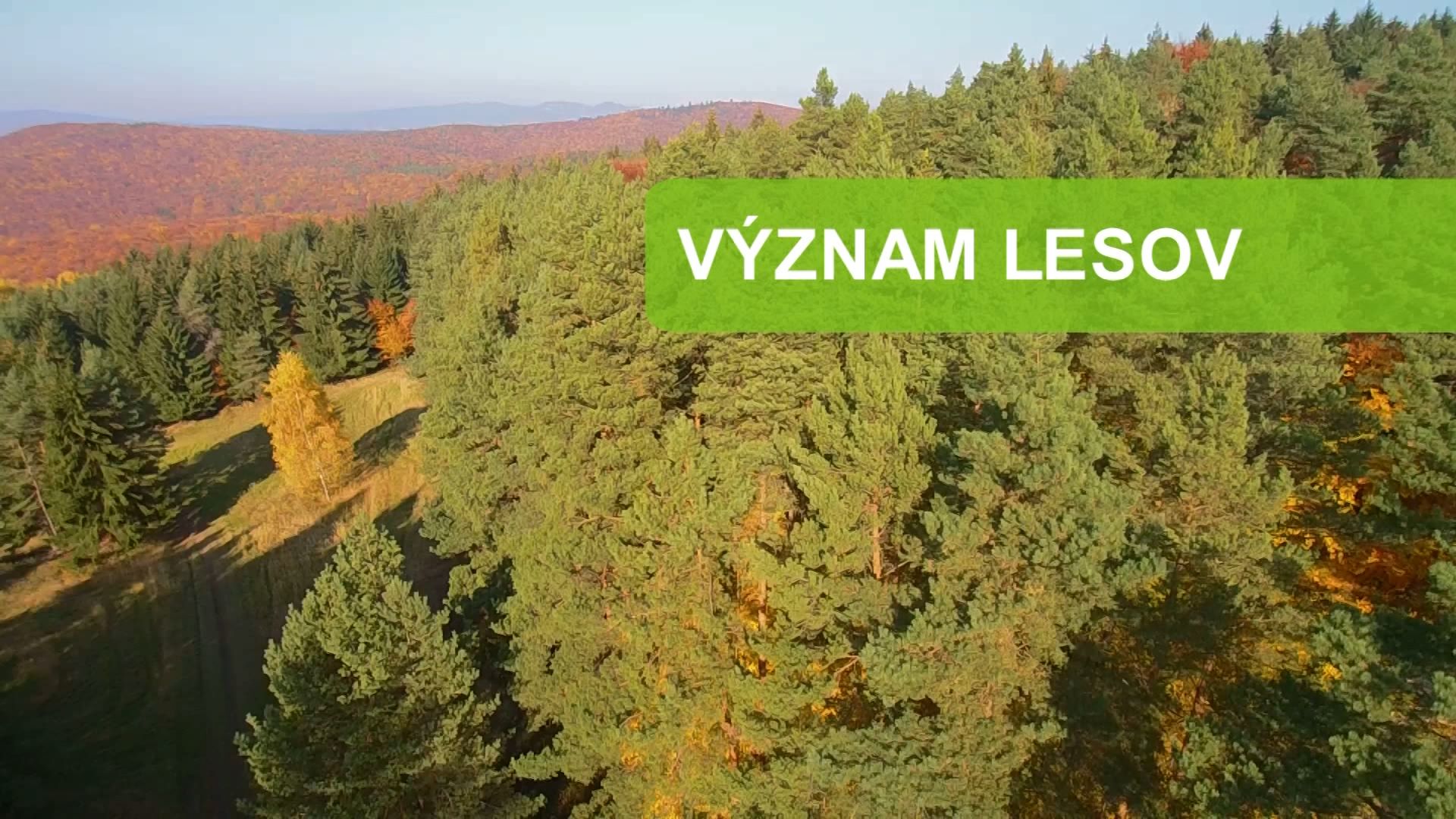 Význam lesov