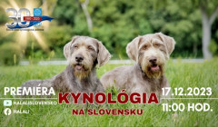 Premiéra vianočnej piesne: Ihličím rozvonia