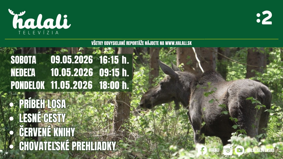 halali maj1